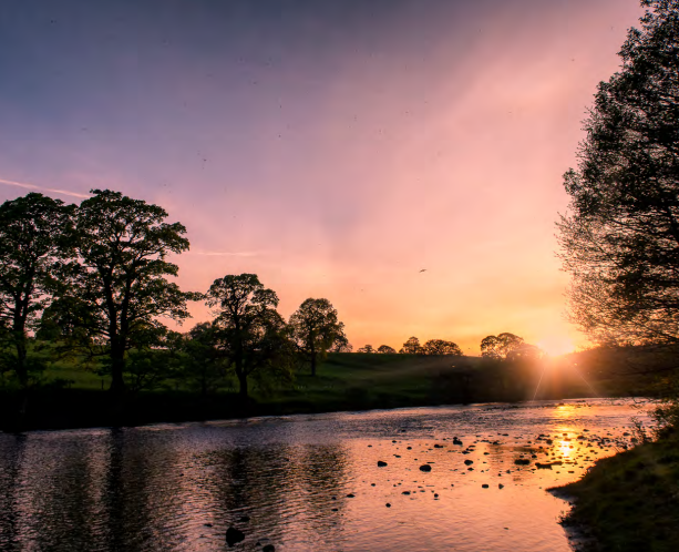 The River Tees